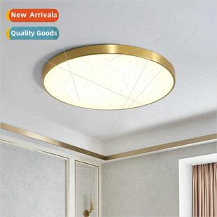 Ceiling light copper color led Scandinavian living room bedr