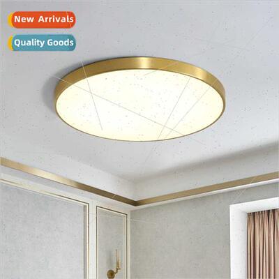 Ceiling light copper color led Scandinavian living room bedr