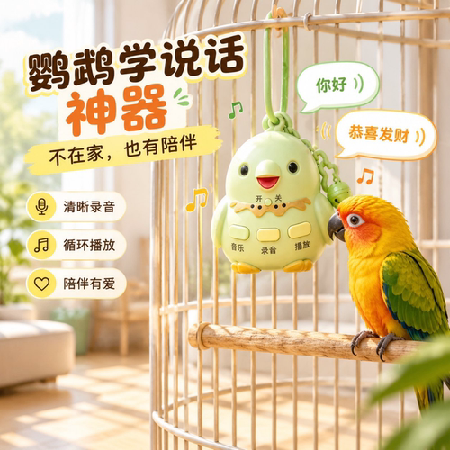 鹦鹉学说话复读录音机挂件