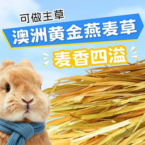 澳麦澳洲黄金燕麦草兔子龙猫粮食