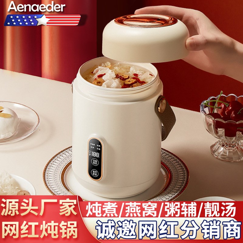 迷你小型电炖锅h1-2人便携多功能煲汤煮粥熬粥神器办公养生电炖盅
