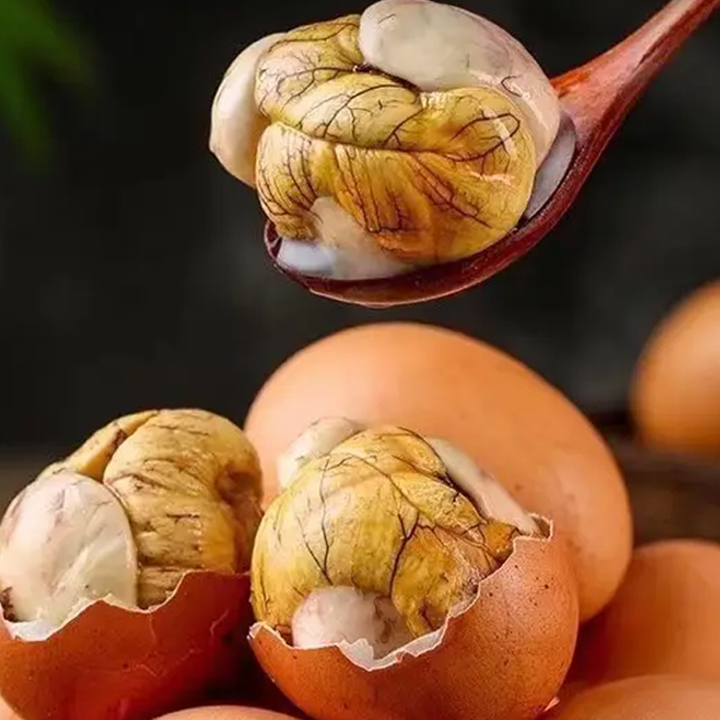 东北活珠子鸡胚蛋新疆包邮