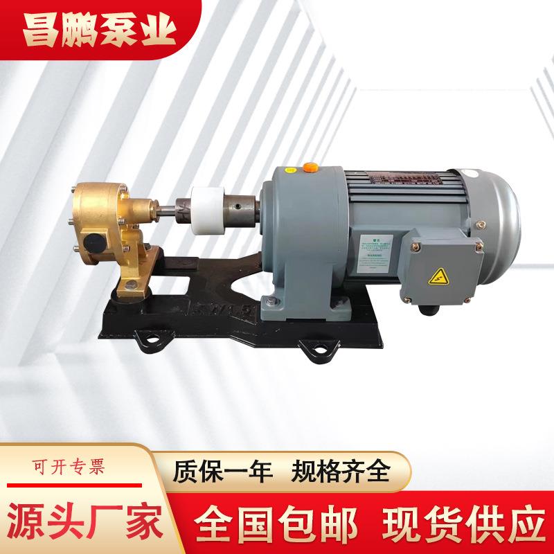 铜胶泵打包机械点胶机挤胶泵胶水泵全铜电动齿轮抽油泵微型计量泵