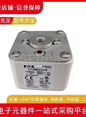 170M5593 170M5594 170M5595 170M5596 170M5597 170M5598熔断器