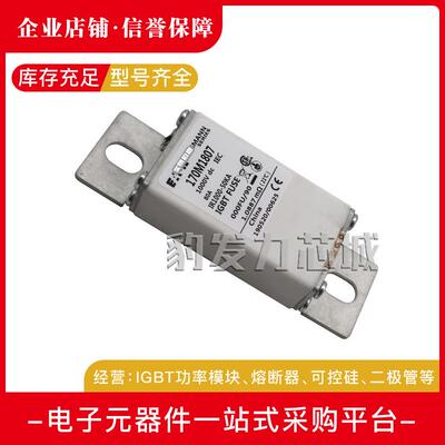 170M1760/1761/1762/1770/1771/1772/1773/1774/1775-1781熔断器