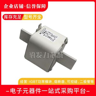 170M6217 170M6218 170M6219 170M6220 170M6221全新熔断器现货