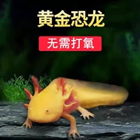 Шестиугольный желтый большой динозавр, 8-10см, 1 шт