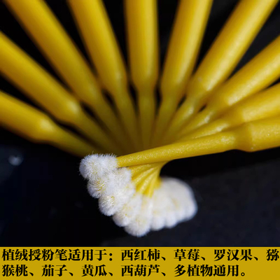 园艺工具贰分贝罗汉果授粉
