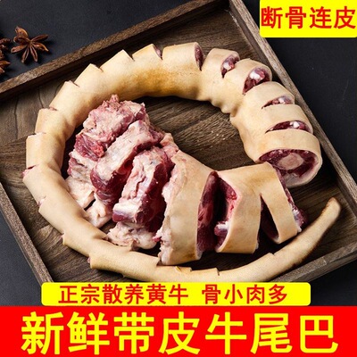10斤带皮黄牛尾整根新鲜现杀