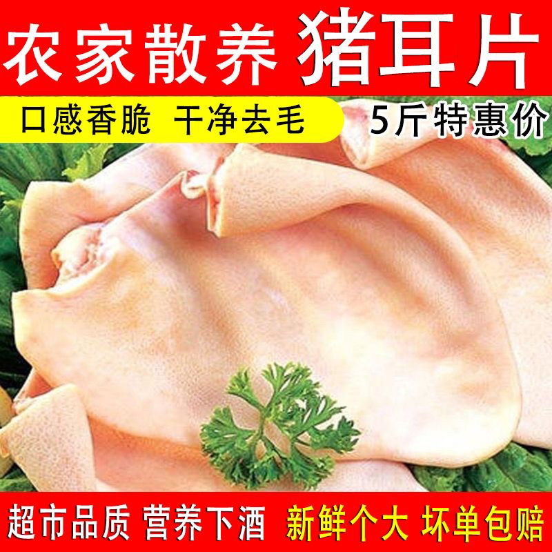 20斤冷冻新鲜猪耳片耳尖无耳根去毛猪耳朵纯耳尖生猪耳尖卤菜用