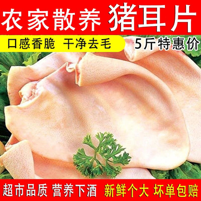 20斤冷冻新鲜猪耳片耳尖无耳根去毛猪耳朵纯耳尖生猪耳尖卤菜用