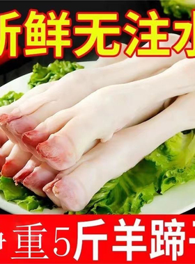 顺丰新鲜羊蹄子20斤冷冻生羊蹄带筋小羊蹄羊脚散养羊爪羊肉