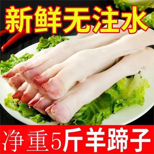 顺丰新鲜羊蹄子20斤冷冻生羊蹄带筋小羊蹄羊脚散养羊爪羊肉