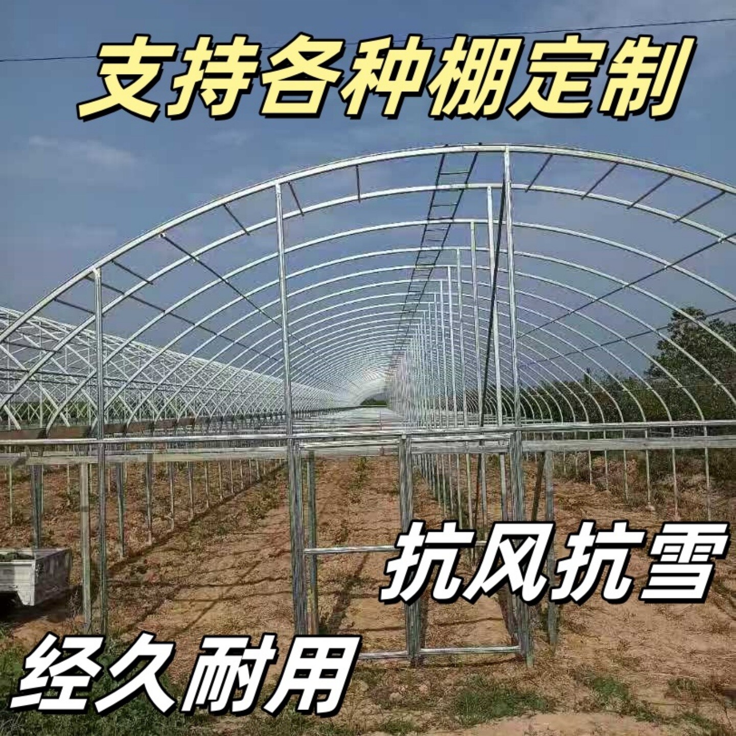 椭圆管包塑钢管香菇水产棚牛羊蔬菜棚大棚骨架种植热镀锌管暖棚