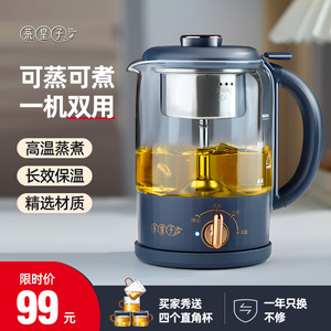 茶皇子煮茶器家用黑茶煮茶壶喷淋式蒸汽电茶炉办公室养生壶泡茶壶