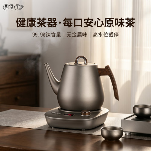 茶皇子纯钛电热上水壶泡茶台专用