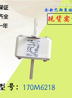 170M6217全新热卖供应巴斯曼熔断器170M6218电子保险丝170M6219