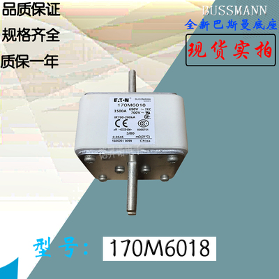 170M6017全新热卖供应巴斯曼熔断器170M6018库存现货直销170M6019