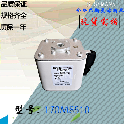 170M8505全新热卖供应巴斯曼熔断器170M8506电子保险丝170M8507