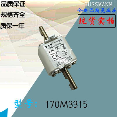 全新热卖170M3388供应巴斯曼熔断器170M3389电子保险丝170M3390