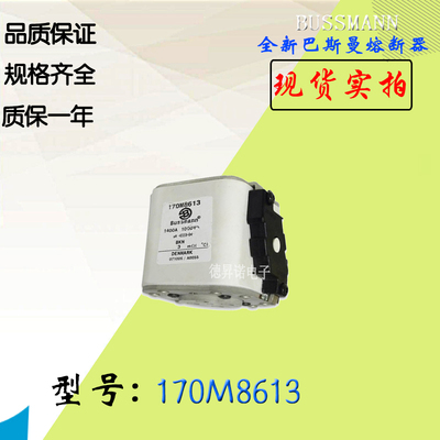 170M8619全新热卖供应巴斯曼熔断器170M8620库存现货直销170M8621
