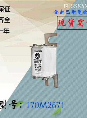 全新热卖供应170M2670巴斯曼熔断器170M2671电子保险丝170M3158