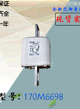 170M6696全新原装热卖巴斯曼熔断器170M6697电子保险丝170M6698