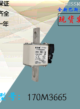 170M3746全新热卖供应巴斯曼熔断器170M3697库存现货直销170M4688