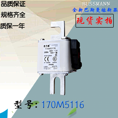 170M5114全新热卖供应巴斯曼熔断器170M5115电子保险丝170M5116