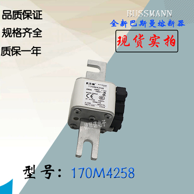 熔断器巴斯曼BUSSMANN170M3273