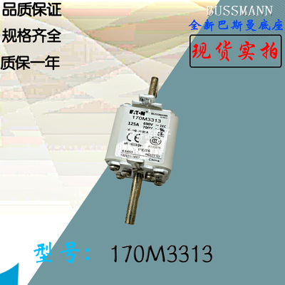 170M3313全新热卖供应巴斯曼熔断器170M3314库存现货直销170M3315