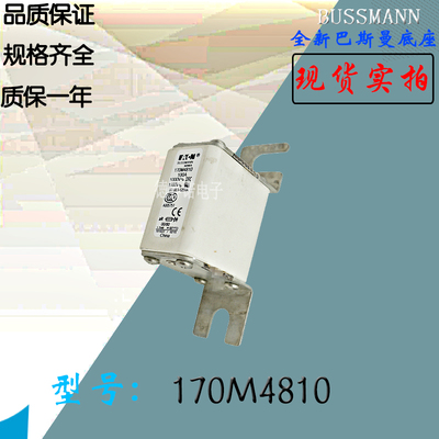170M4828全新热卖供应巴斯曼熔断器170M4829电子保险丝170M4830