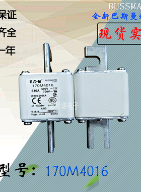 170M4064全新热卖原装巴斯曼熔断器170M4065电子保险丝170M4066
