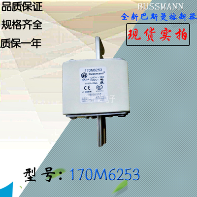 全新热卖供应170M6258巴斯曼熔断器170M6259电子保险丝170M6260