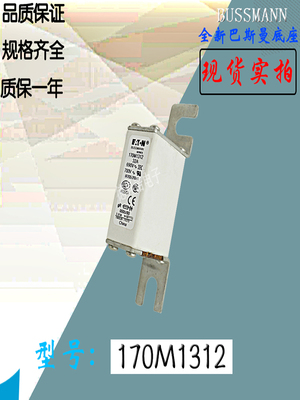 BUSSMANN170M1311保险丝熔断器