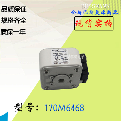 BUSSMANN170M6469保险丝熔断器