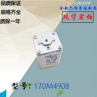 熔断器170M4908巴斯曼保险丝