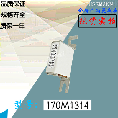 170M1314全新热卖供应巴斯曼熔断器170M1315电子保险丝170M1316