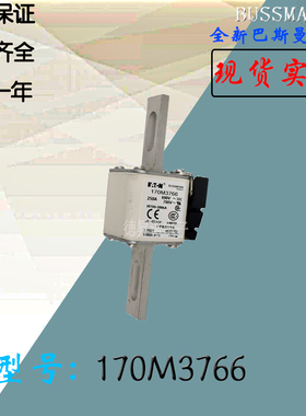 170M3766全新热卖供应巴斯曼熔断器170M3767库存现货直销170M3768