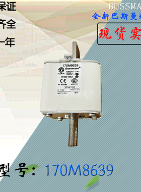 170M8632全新热卖供应巴斯曼熔断器170M8633电子保险丝170M8634