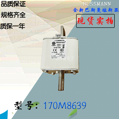 170M8632巴斯曼熔断器