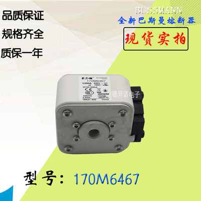 熔断器170M6464BUSS保险丝