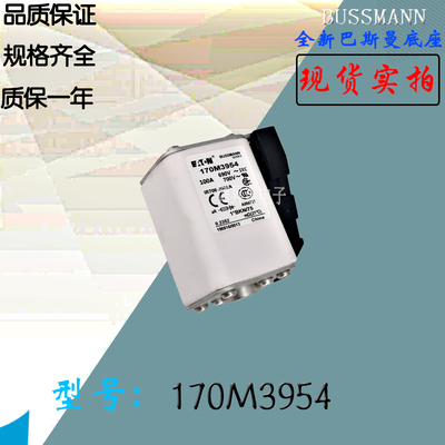 170M3960全新热卖供应巴斯曼熔断器170M3961库存现货直销170M4951