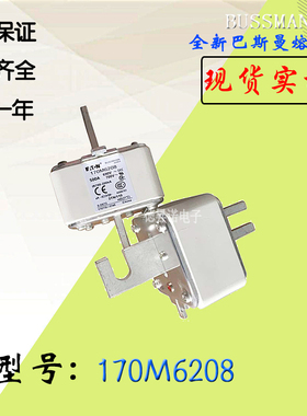 170M6307全新热卖供应巴斯曼熔断器170M6202现货直销170M6204