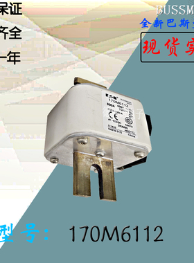 170M6115全新热卖供应巴斯曼熔断器170M6116电子保险丝170M6117