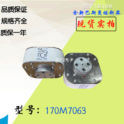 170M7061全新热卖供应巴斯曼熔断器170M7062电子保险丝170M7063
