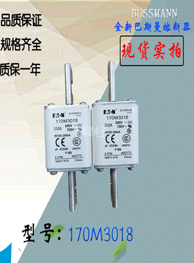 170M3065全新热卖供应巴斯曼熔断器170M3066电子保险丝170M3067