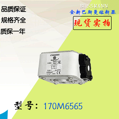 170M6570全新热卖供应巴斯曼熔断器170M6571库存现货直销170M7118