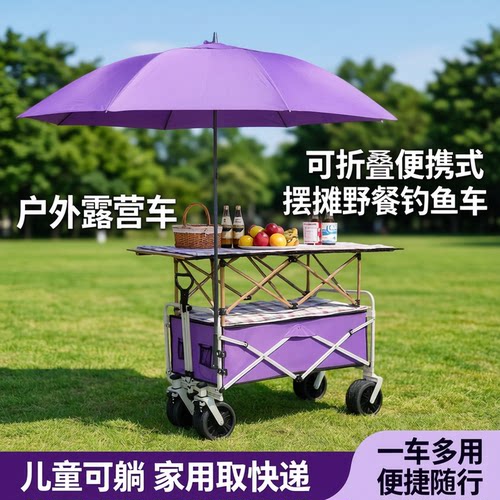可折叠便携露营摆摊儿童快递推车