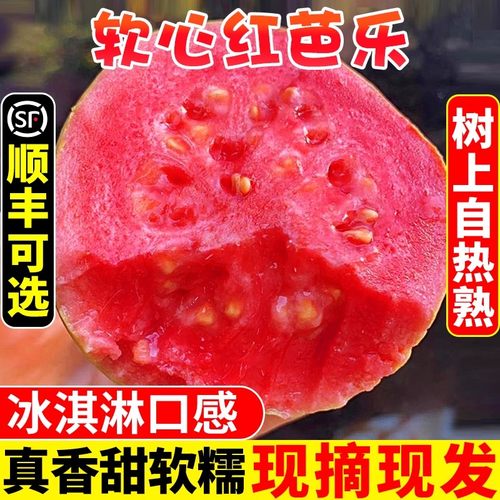 广西软糯红心芭乐5斤整箱